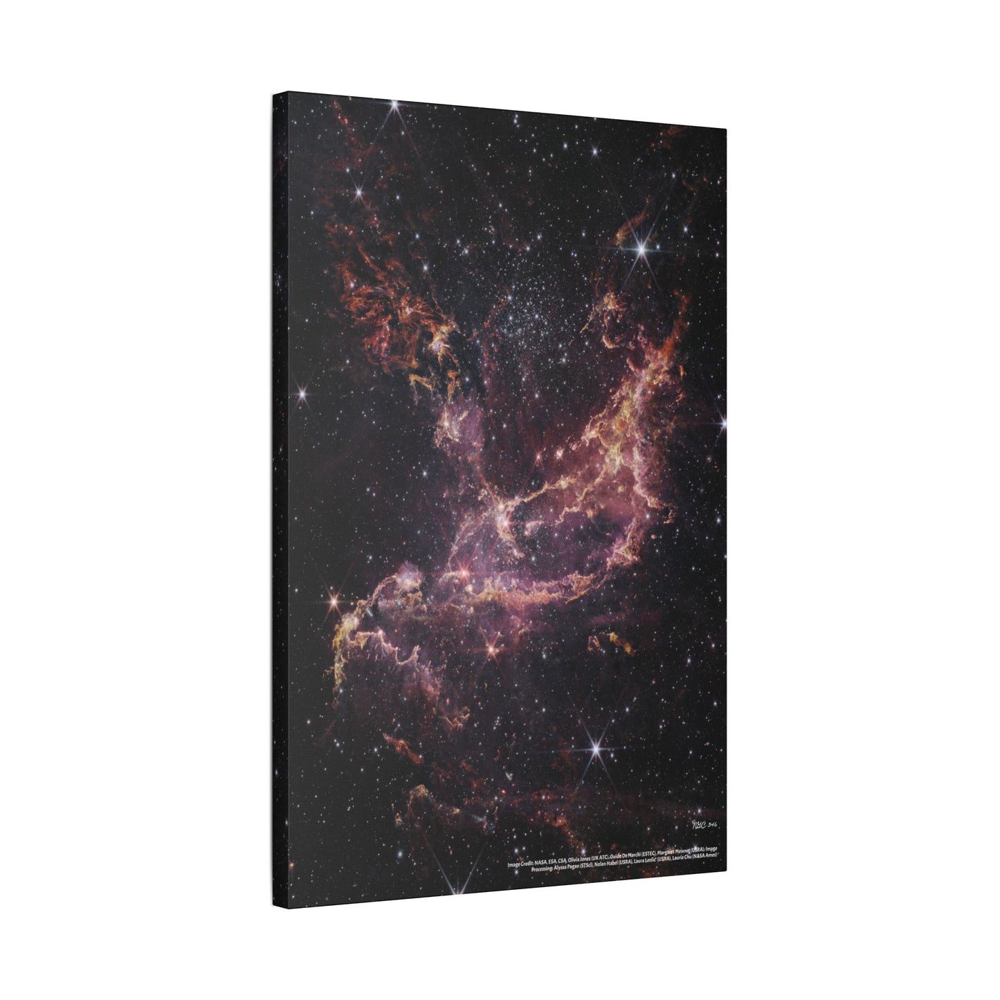 NGC 346, Canvas Wall Art
