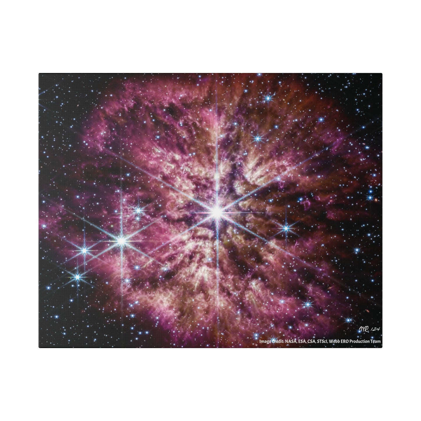 WR 124, Canvas Wall Art