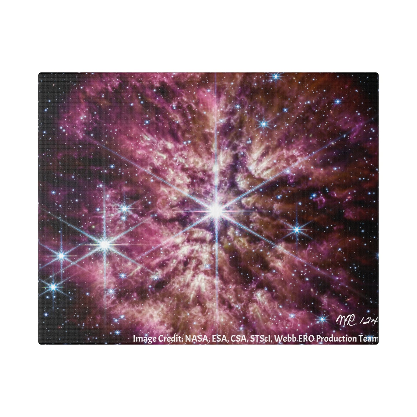 WR 124, Canvas Wall Art