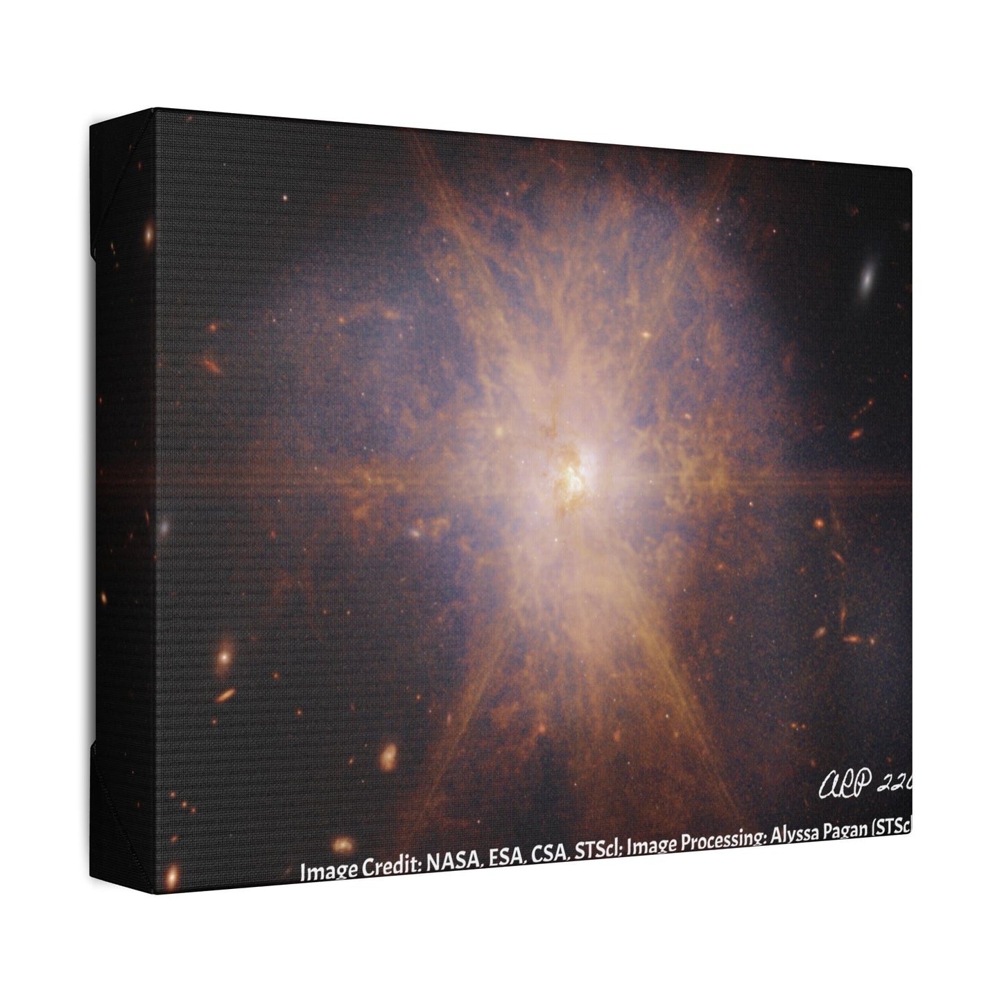 ARP 220, Canvas Wall Art
