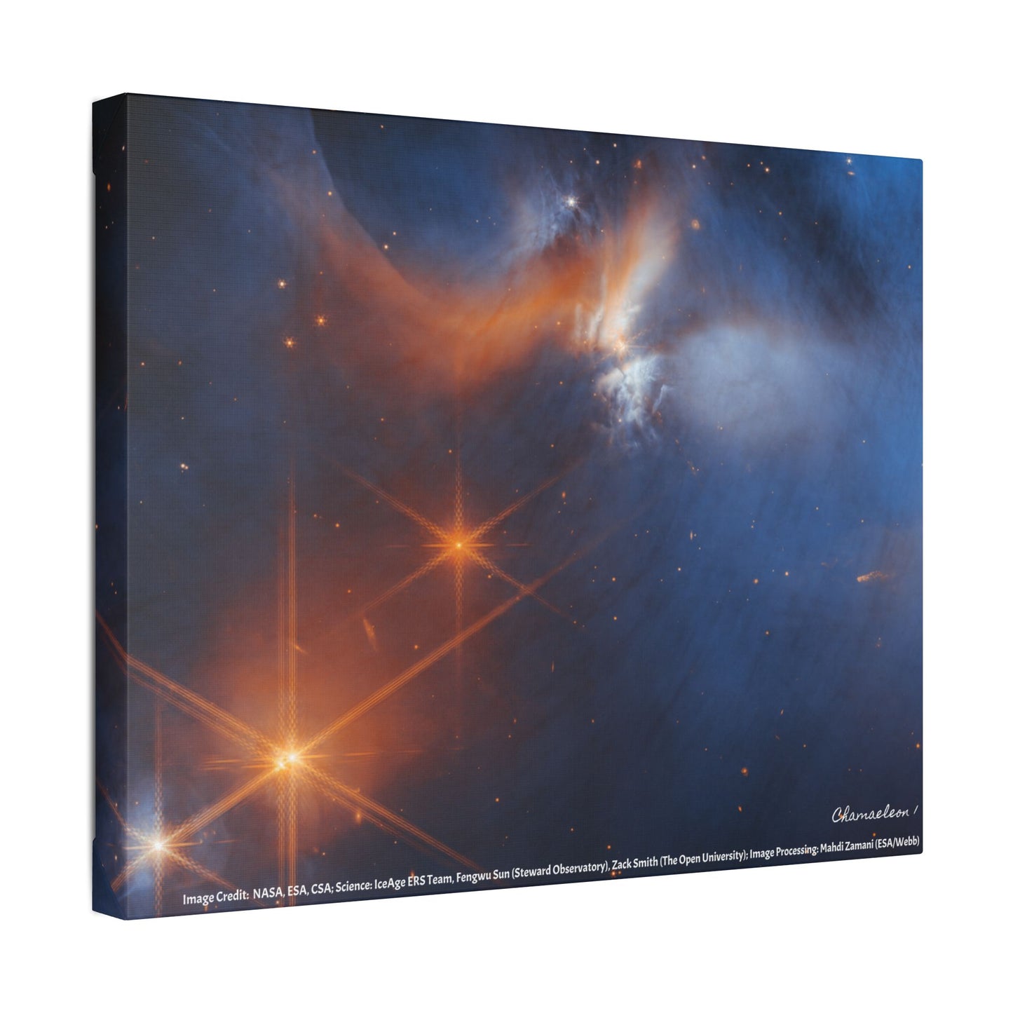 Chamaeleon I, Canvas Wall Art