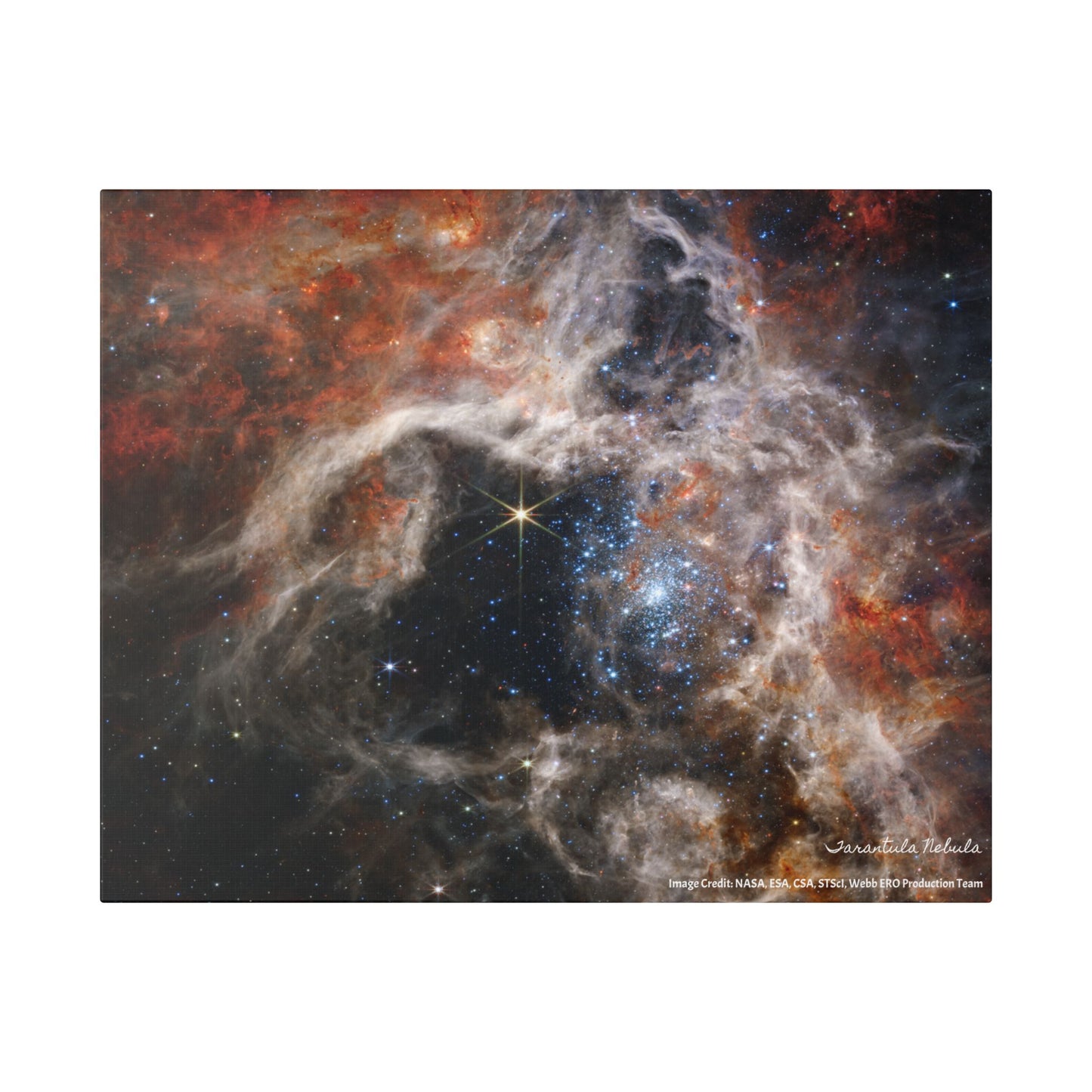 Tarantula Nebula, Canvas Wall Art