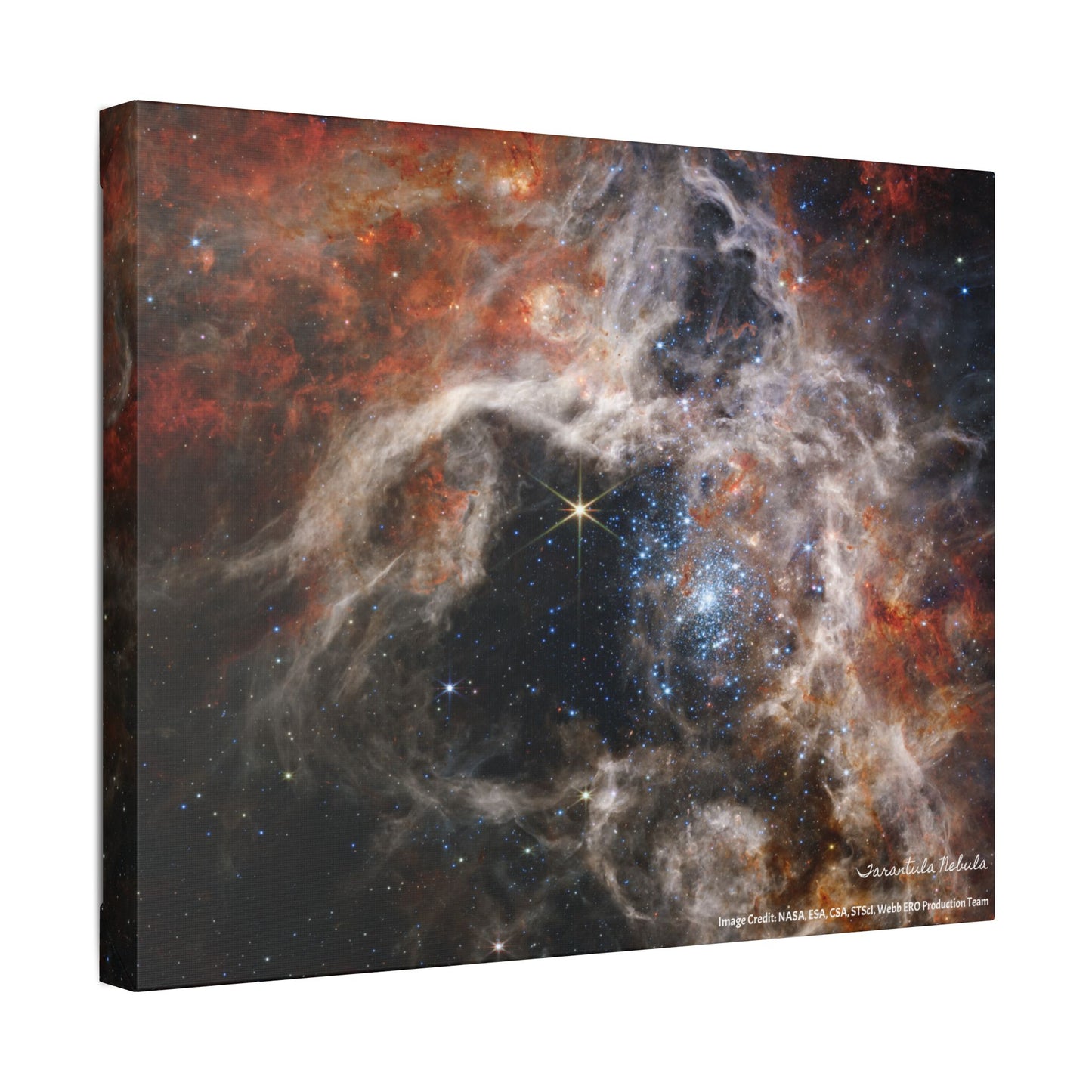 Tarantula Nebula, Canvas Wall Art
