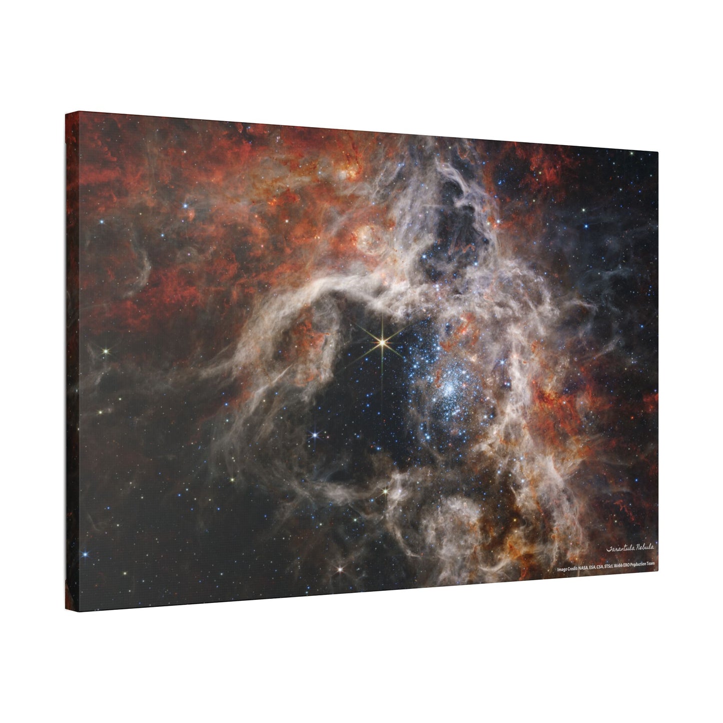 Tarantula Nebula, Canvas Wall Art