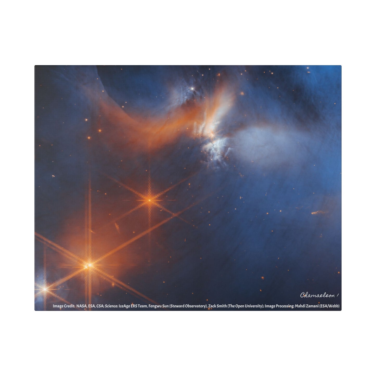 Chamaeleon I, Canvas Wall Art
