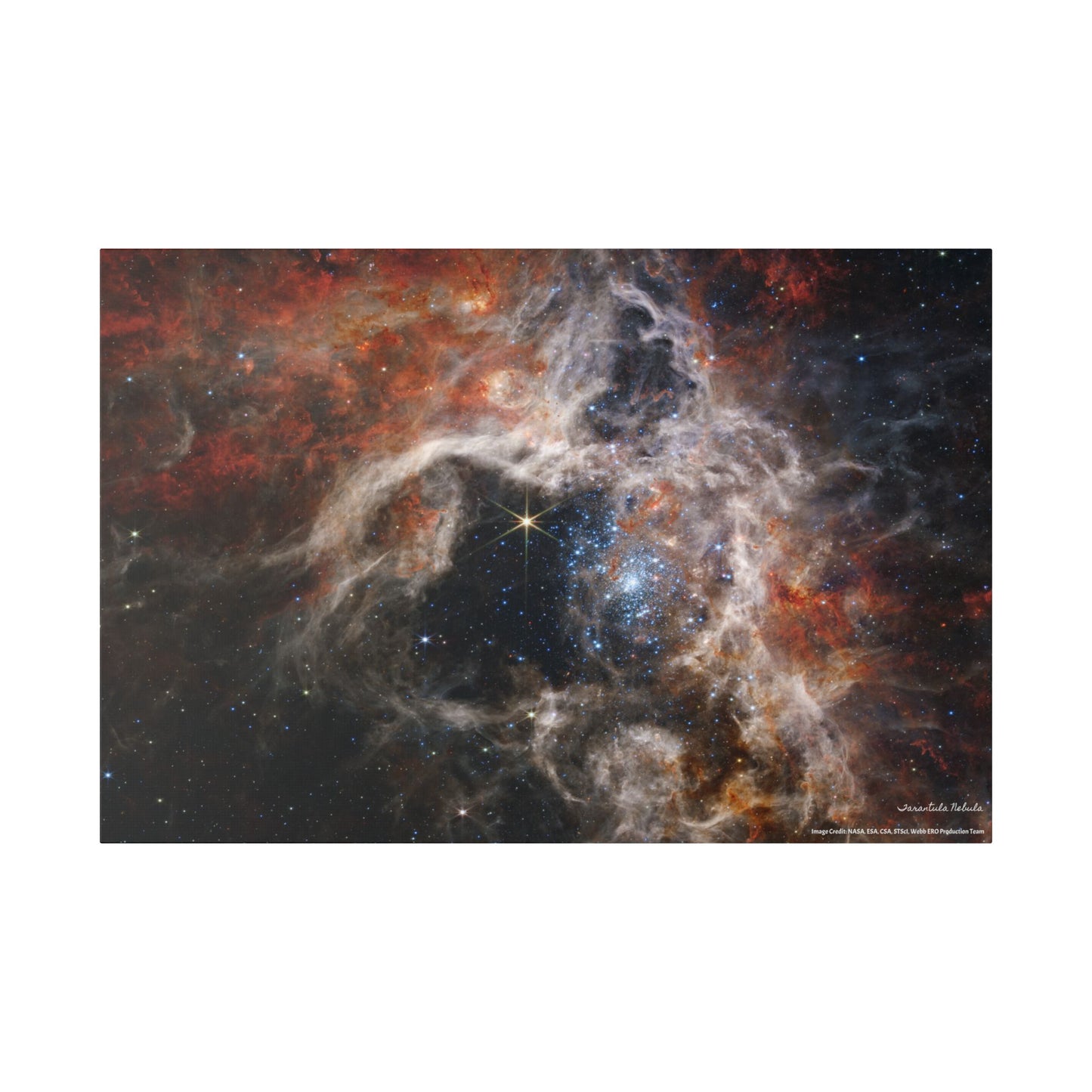 Tarantula Nebula, Canvas Wall Art