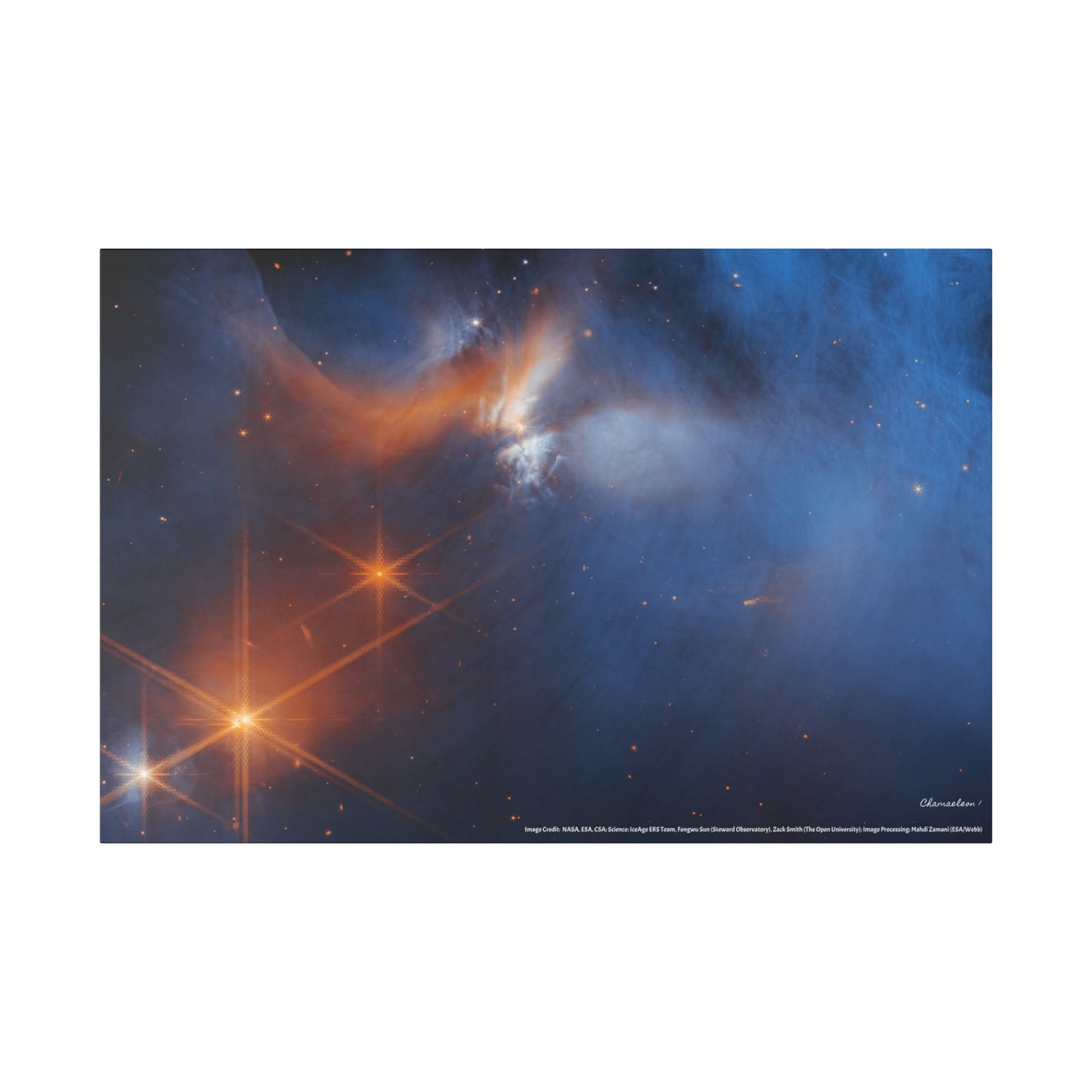 Chamaeleon I, Canvas Wall Art