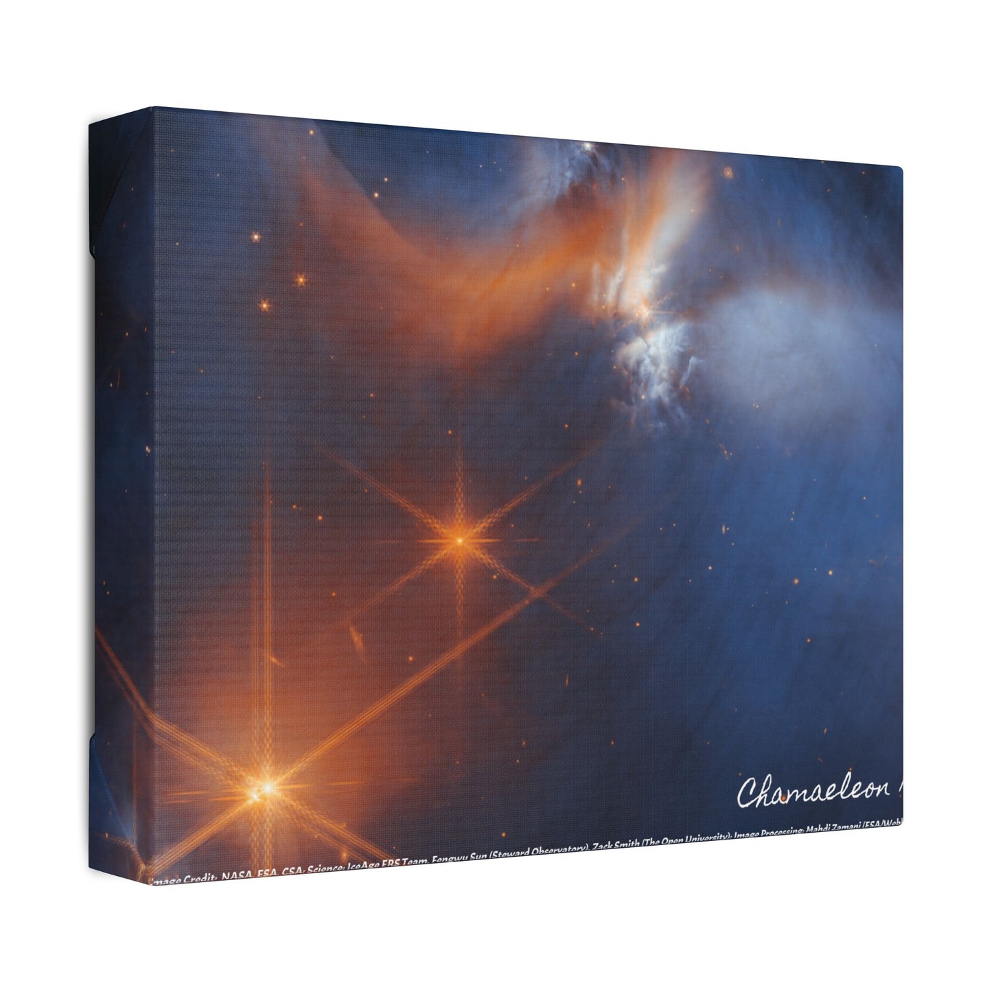 Chamaeleon I, Canvas Wall Art