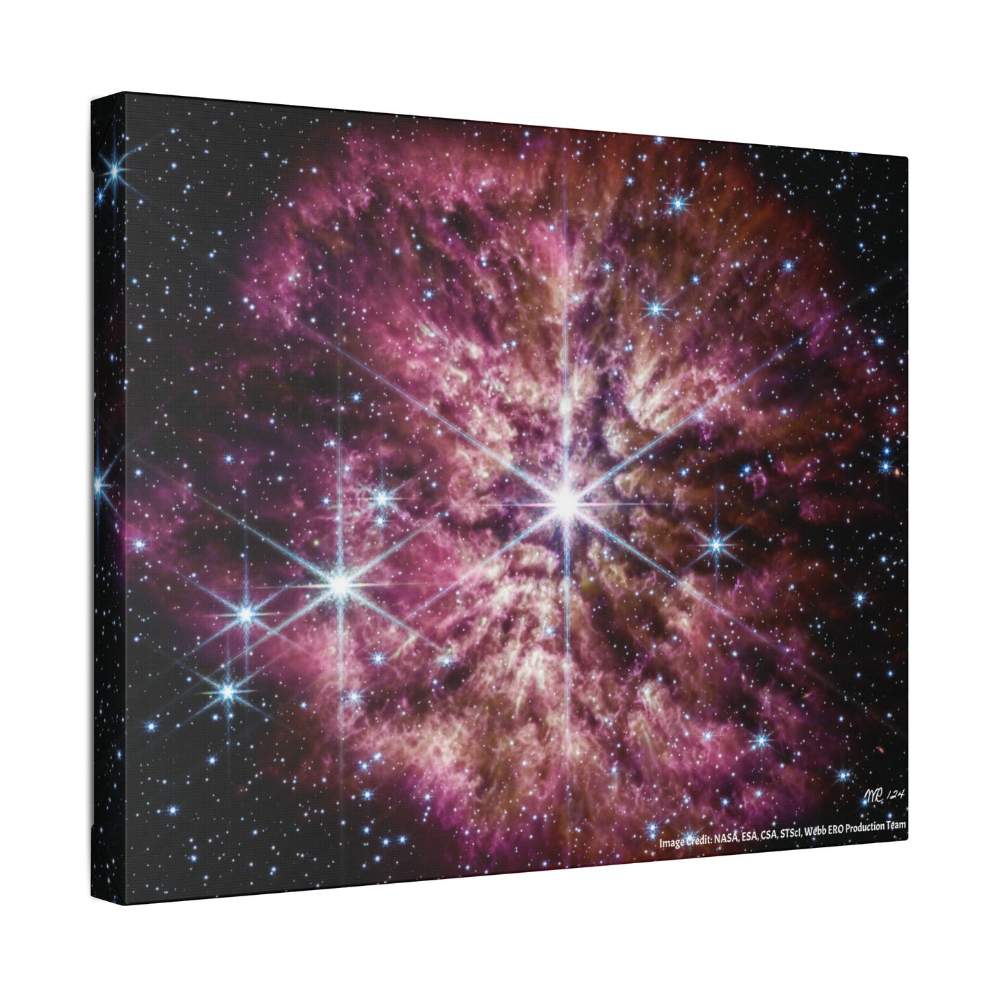 WR 124, Canvas Wall Art