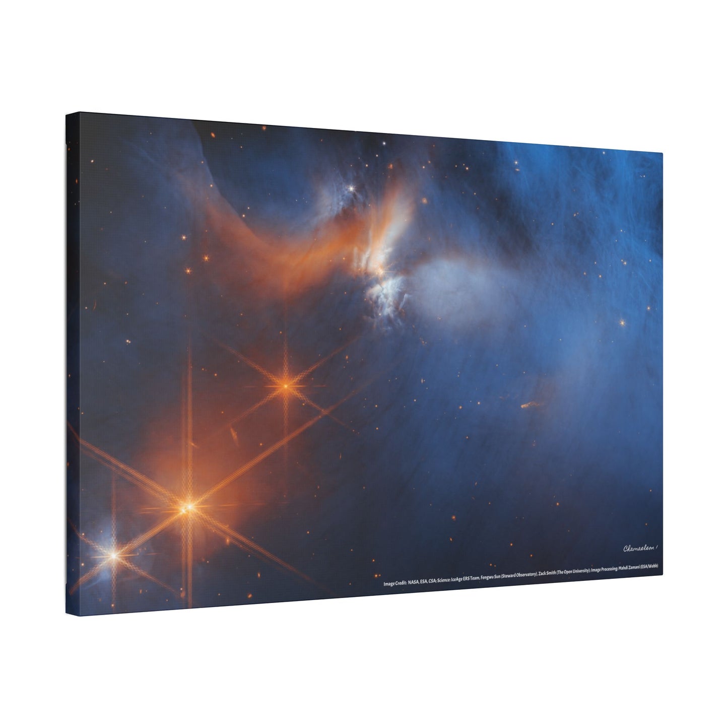 Chamaeleon I, Canvas Wall Art