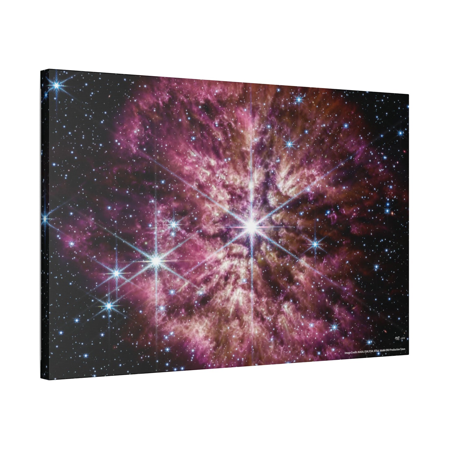 WR 124, Canvas Wall Art