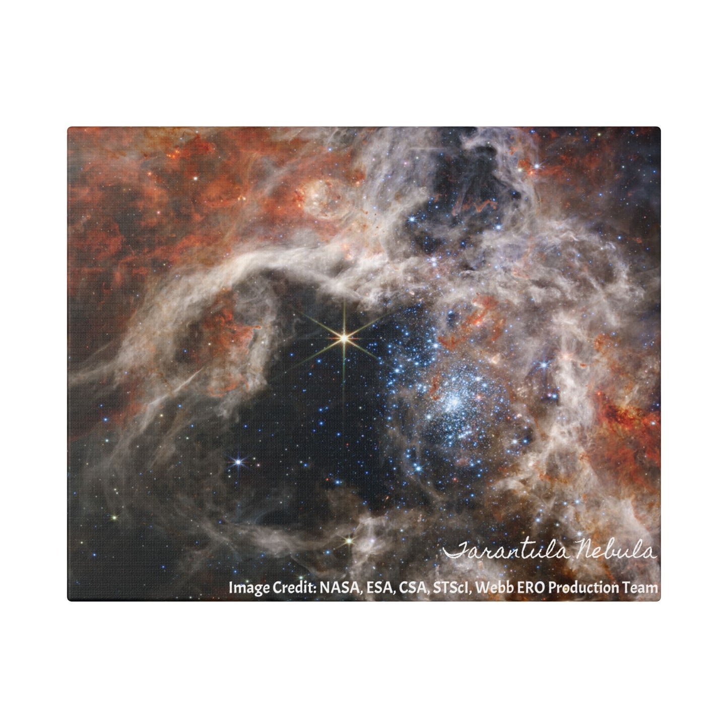 Tarantula Nebula, Canvas Wall Art
