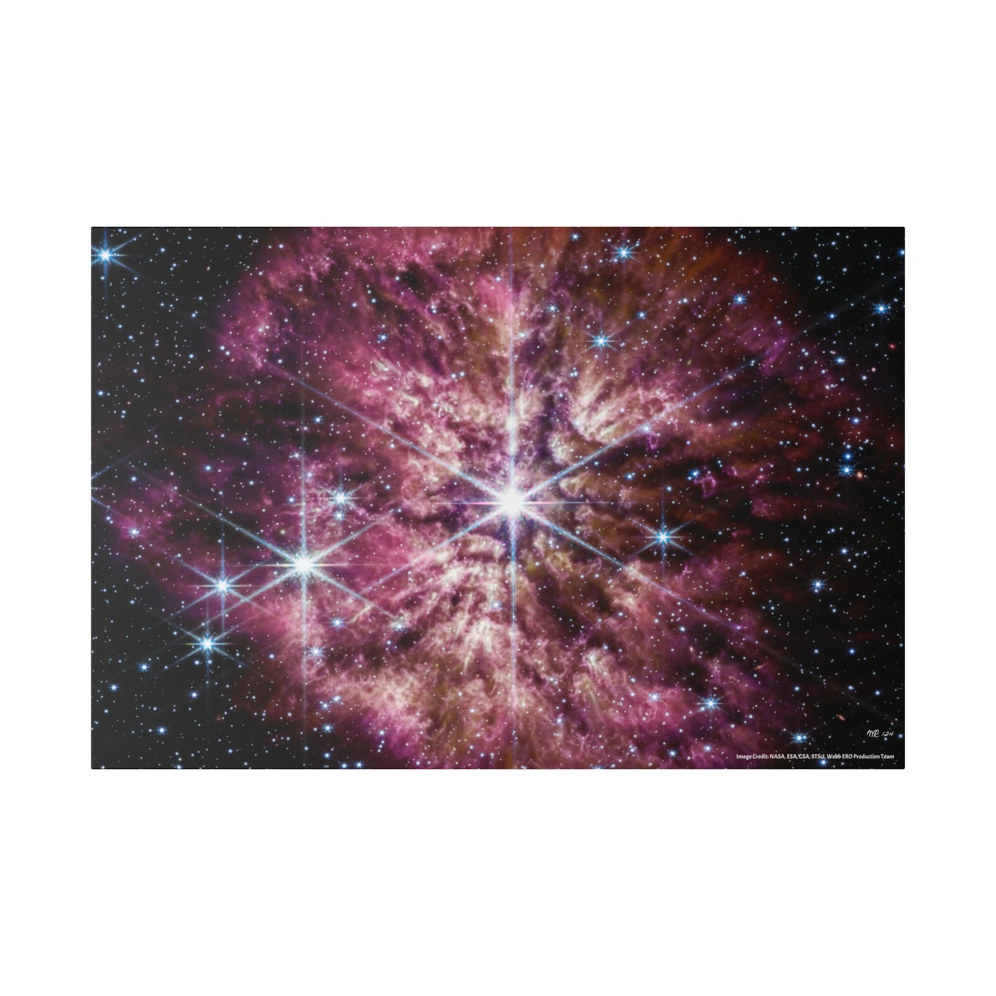 WR 124, Canvas Wall Art