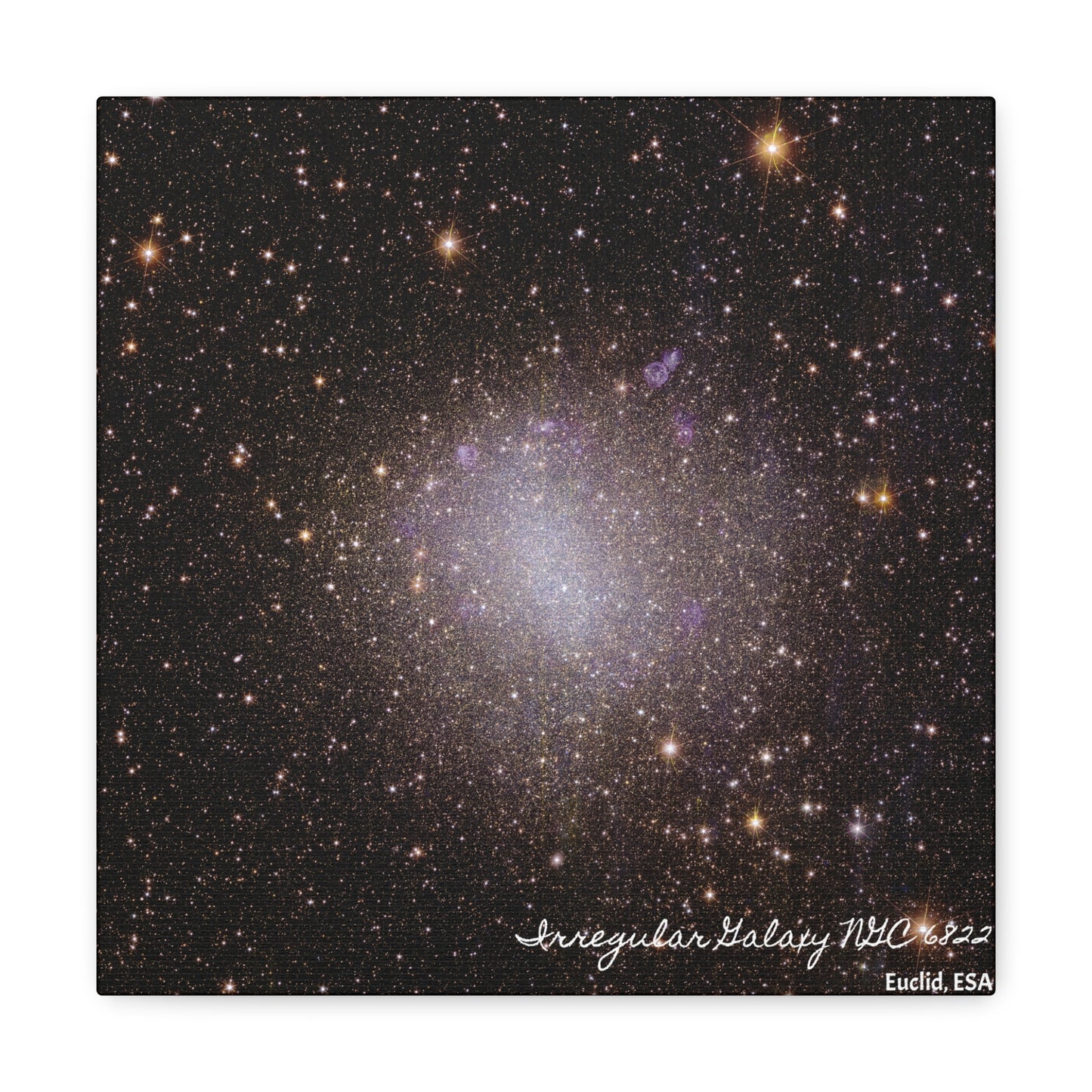 Irregular Galaxy NGC 6822