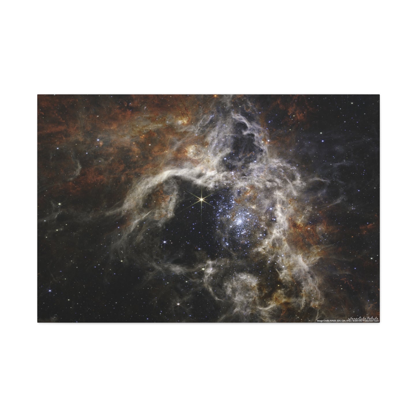 Tarantula Nebula