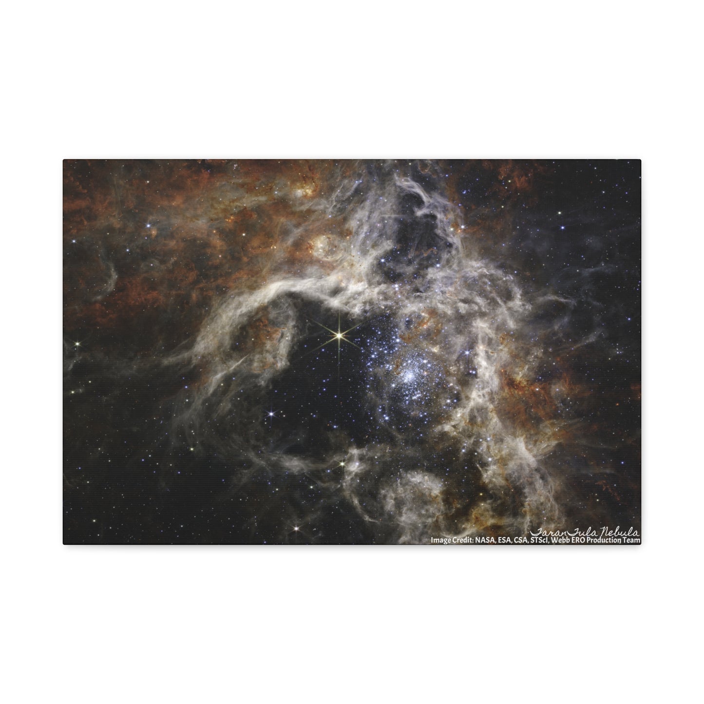 Tarantula Nebula