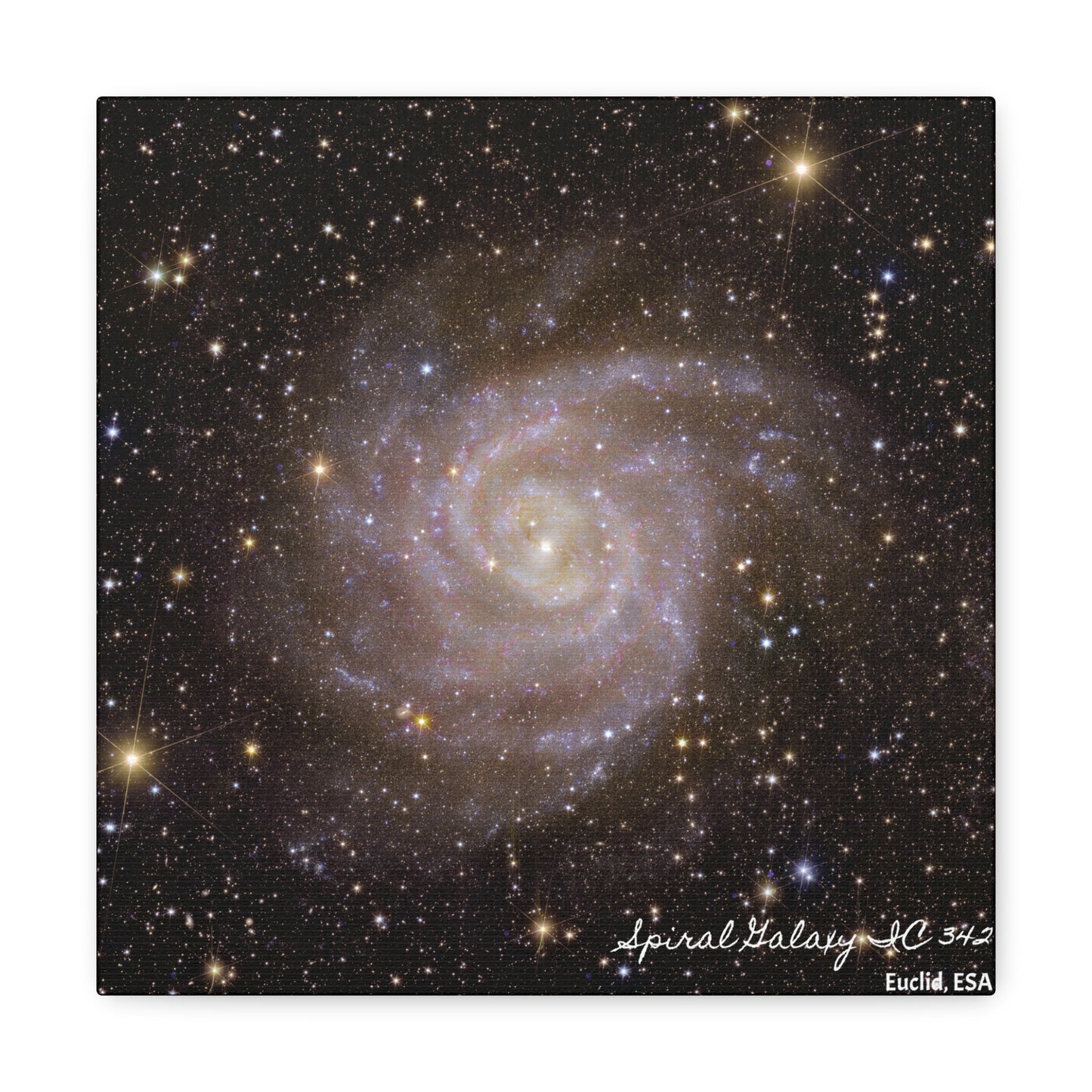 Spiral Galaxy IC 342