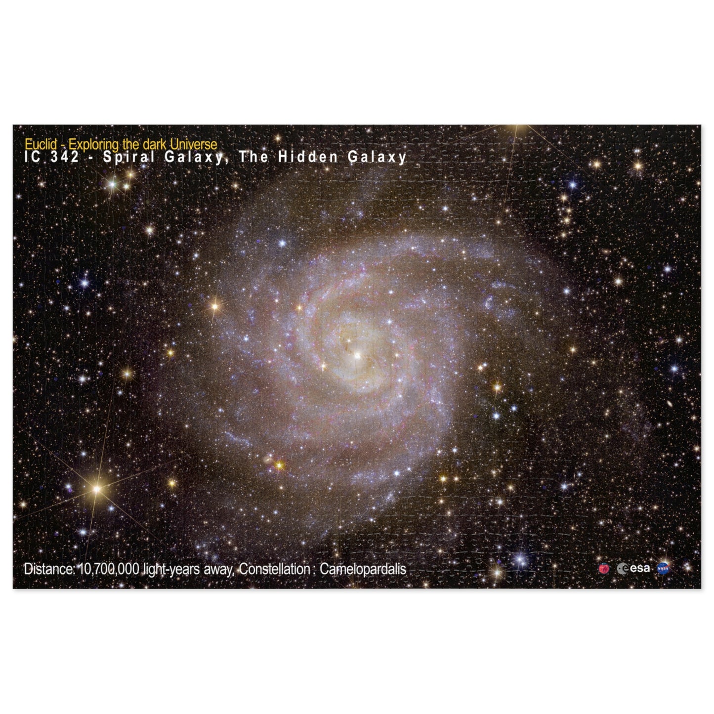 The Hidden Galaxy - Jigsaw Puzzle