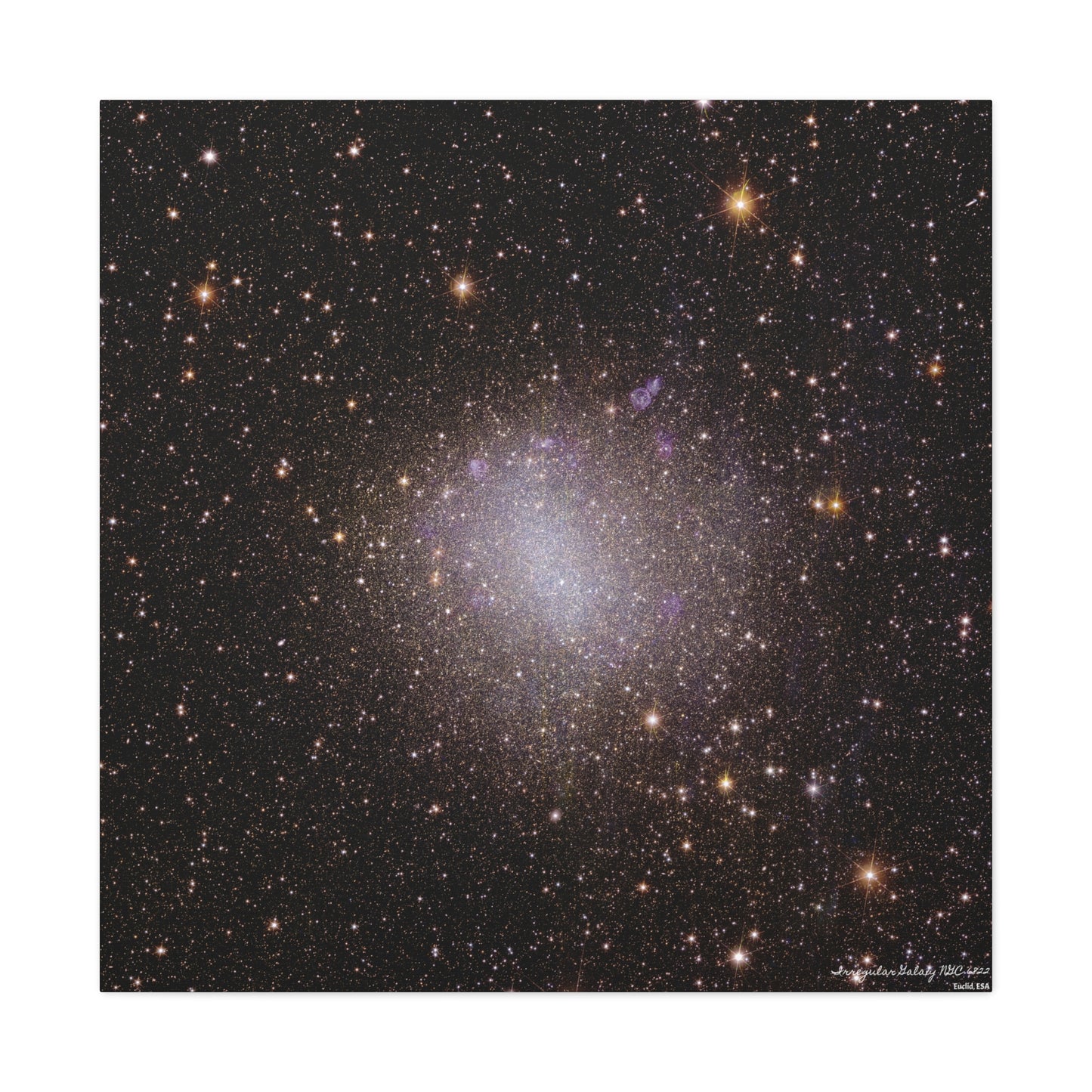 Irregular Galaxy NGC 6822