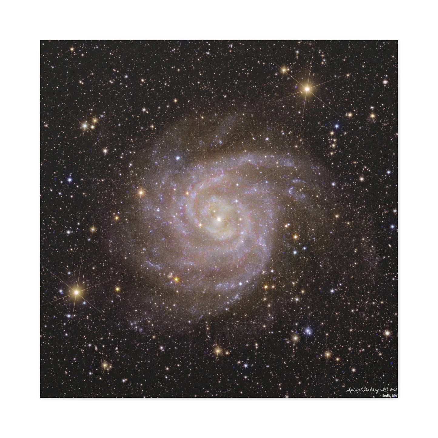 Spiral Galaxy IC 342