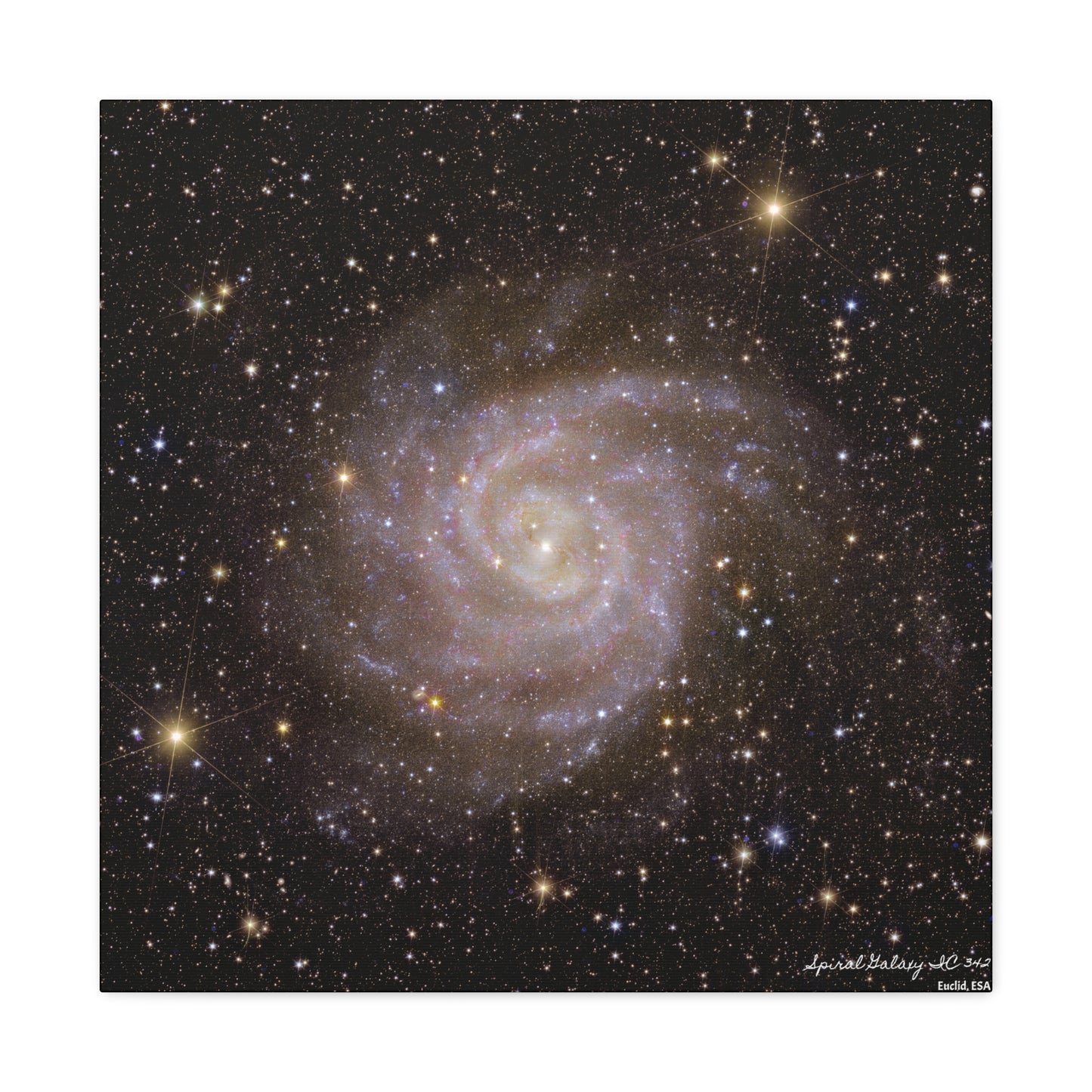 Spiral Galaxy IC 342