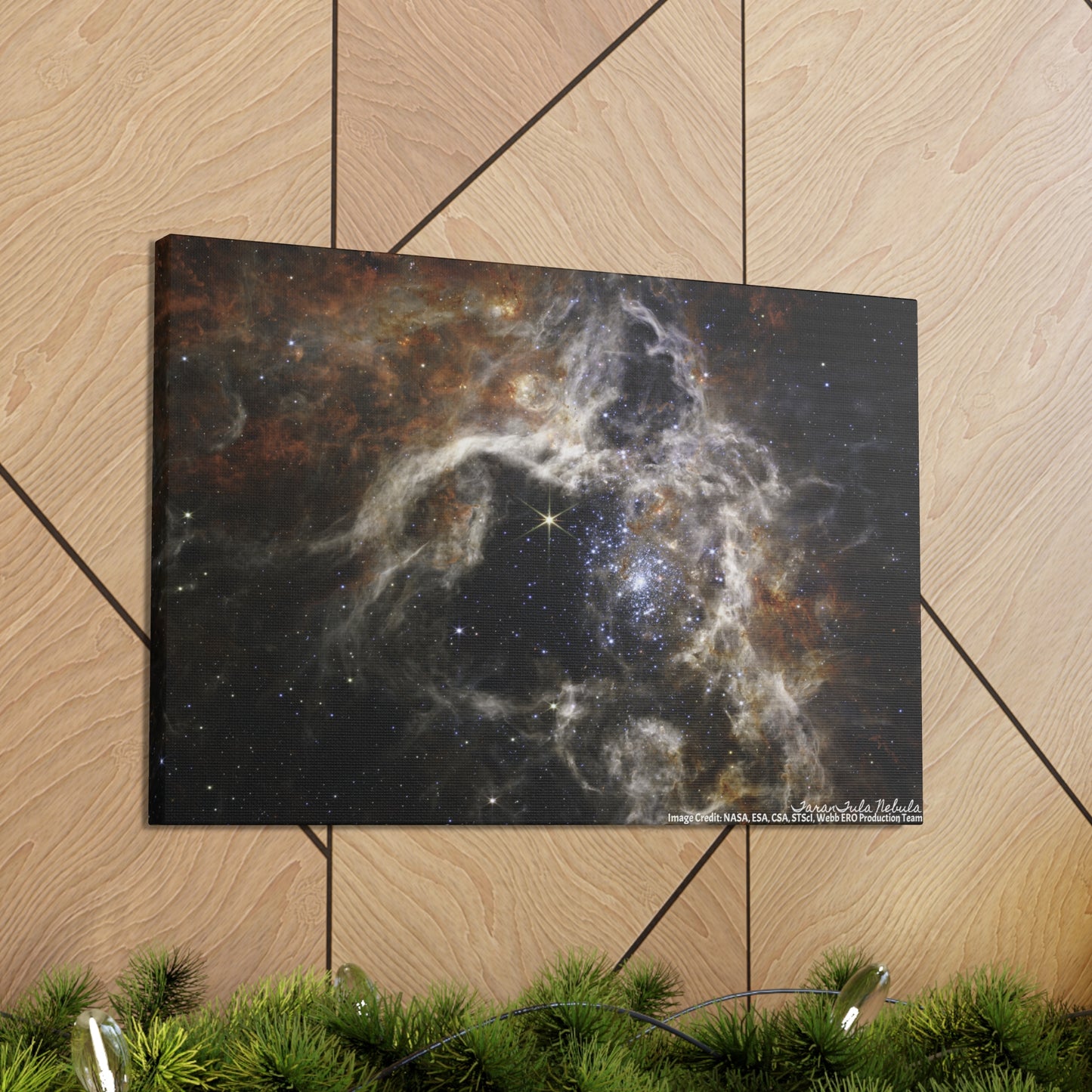 Tarantula Nebula